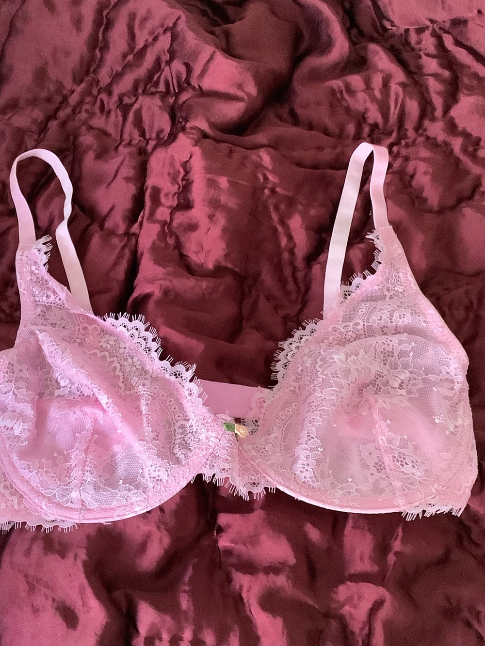 Free People Pink Lace Underwire Bra 34 DD
